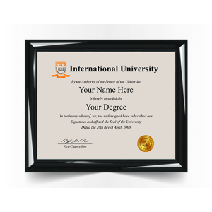 replacement international college university diploma degree certificate