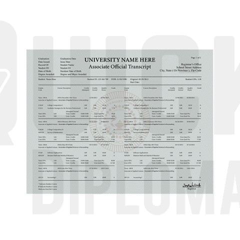 replacement associate college university diploma transcript mark sheet