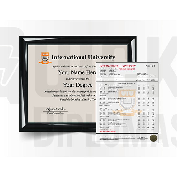 College University Diploma Match with Transcript, International